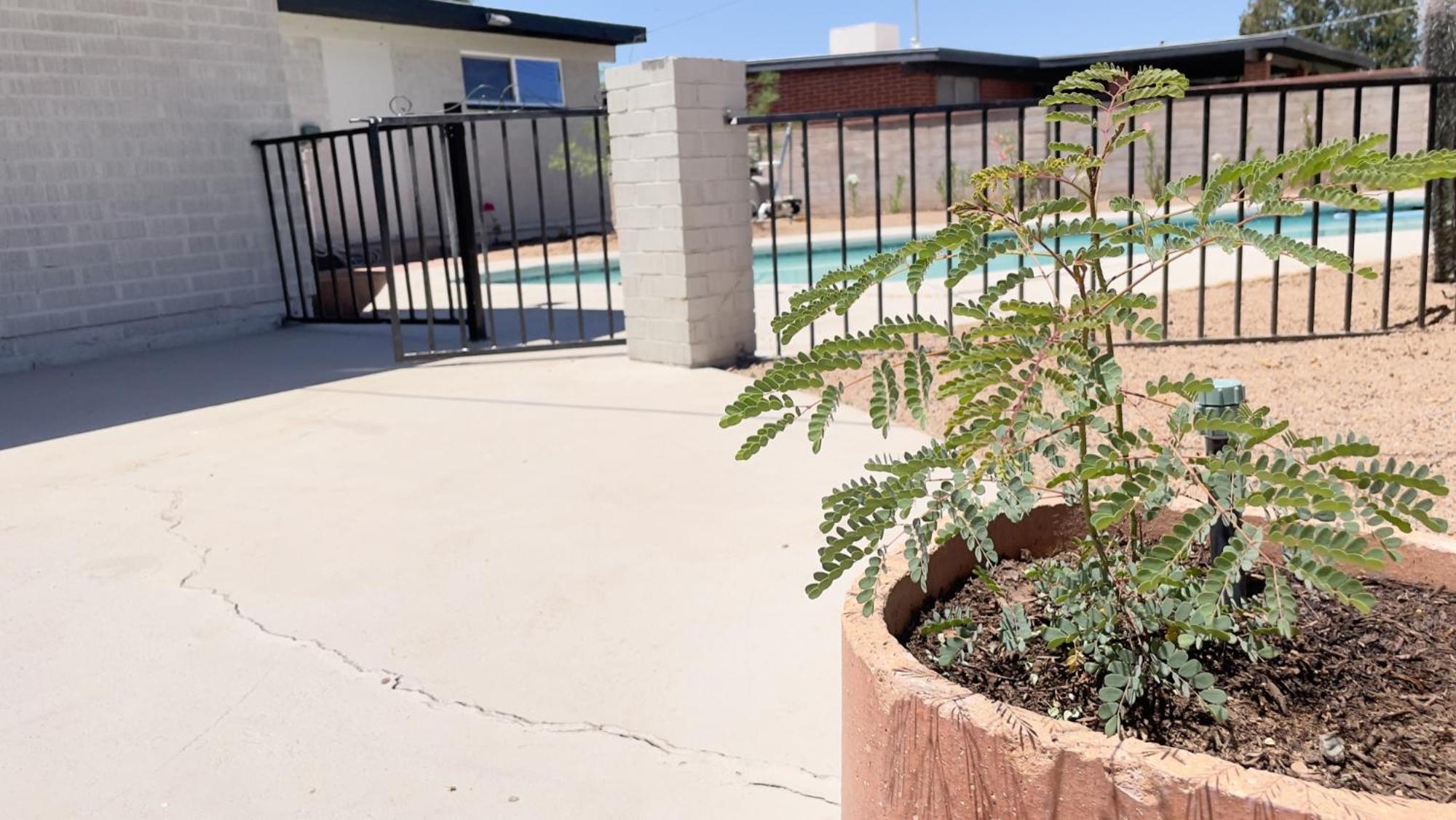 Private Home - Heated Pool, Billiards, Darts, Foosball, Fireplace, 5 Smart Tvs, Bbq, Cotton Bedding - The Saguaro Sanctuary, Pool Heat Optional Tucson Kültér fotó
